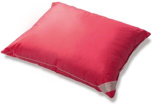 Pusiau pūkinė pagalvė 70x80 1,5 kg Mr. Pillow kaina ir informacija | Pagalvės | pigu.lt