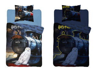 140X200 tamsoje šviečianti patalynė HARRY POTTER kaina ir informacija | Patalynė kūdikiams, vaikams | pigu.lt