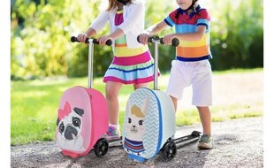 Vaikiškas paspirtukas ir lagaminas 2in1 Coastway TS10055FG, rožinis kaina ir informacija | Lagaminai, kelioniniai krepšiai | pigu.lt