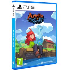 Arietta of Spirits Playstation 5 PS5 игра цена и информация | Компьютерные игры | pigu.lt