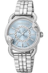 Roberto Cavalli By Franck Muller - RV1L126M - Pilka RV1L126M1021 цена и информация | Женские часы | pigu.lt