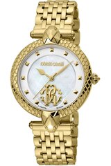 Roberto Cavalli By Franck Muller - RV1L130M - Geltona RV1L130M0051 цена и информация | Женские часы | pigu.lt