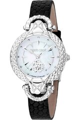 Roberto Cavalli By Franck Muller - RV1L165L - Juoda RV1L165L0011 цена и информация | Женские часы | pigu.lt