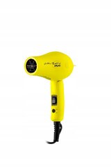 MINI Compact Travel Folding Hair Dryer - Lemon B352G цена и информация | Фены | pigu.lt