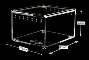 Terariumas vabzdžiams ir vorams Repti-Zoo, akrilinis, 10x8x6 cm kaina ir informacija | Prekės egzotiniams gyvūnams | pigu.lt