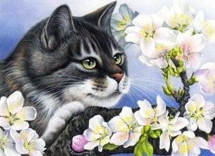 Tapyba pagal numerius "A cat in an apple tree in bloom" 30x40 kaina ir informacija | Tapyba pagal skaičius | pigu.lt