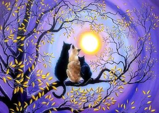 Картина по номерам "Three cats by moonlight" 30x40 цена и информация | Живопись по номерам | pigu.lt