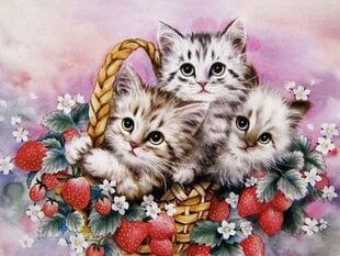 Deimantinė mozaika "Kittens in a strawberry basket" 30x40cm kaina ir informacija | Deimantinės mozaikos | pigu.lt