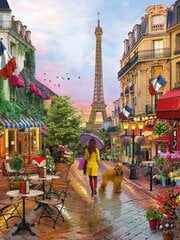 Алмазная мозаика "A girl with a dog in Paris" 30х40см цена и информация | Алмазная мозаика | pigu.lt