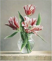 Deimantinė mozaika "Tulips in a vase" 30x40cm kaina ir informacija | Deimantinės mozaikos | pigu.lt