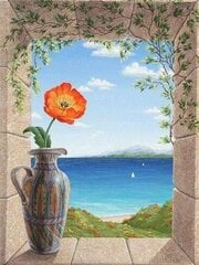 Deimantinė mozaika "A pitcher of poppies" 30x40cm kaina ir informacija | Deimantinės mozaikos | pigu.lt