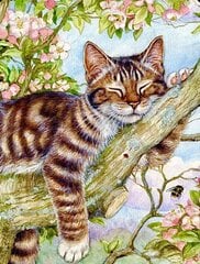 Deimantinė mozaika "A kitten in a tree" 30x40cm kaina ir informacija | Deimantinės mozaikos | pigu.lt