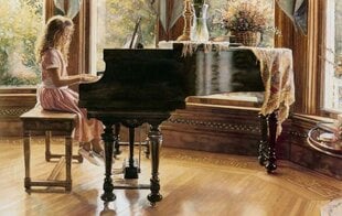 Алмазная мозаика "Girl at the piano" 40х50см цена и информация | Алмазная мозаика | pigu.lt