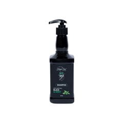 Plaukų šampūnas Hairotic Black & Mint Shampoo, 500 ml kaina ir informacija | Šampūnai | pigu.lt