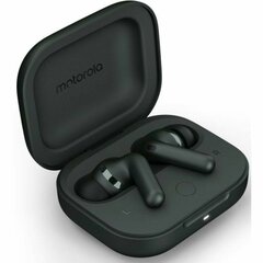 Motorola Moto Buds kaina ir informacija | Ausinės | pigu.lt