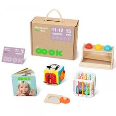 Lavinamoji Montessori dėžutė, 5in1, 11-12 mėn, Tooky Toy kaina ir informacija | Lavinamieji žaislai | pigu.lt