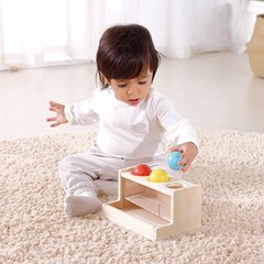 Lavinamoji Montessori dėžutė, 5in1, 11-12 mėn, Tooky Toy kaina ir informacija | Lavinamieji žaislai | pigu.lt