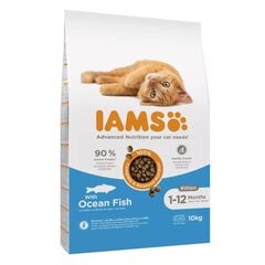 IAMS for Vitality jauniems kačiukams su vandenyno žuvimi, 10 kg kaina ir informacija | Sausas maistas katėms | pigu.lt