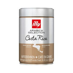 illy Arabica Selection malta kava, 250g kaina ir informacija | Kava, kakava | pigu.lt