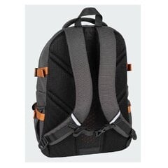 Рюкзак CoolPack Roam, 48 x 34 x 19 см, серый цена и информация | Школьные рюкзаки, спортивные сумки | pigu.lt