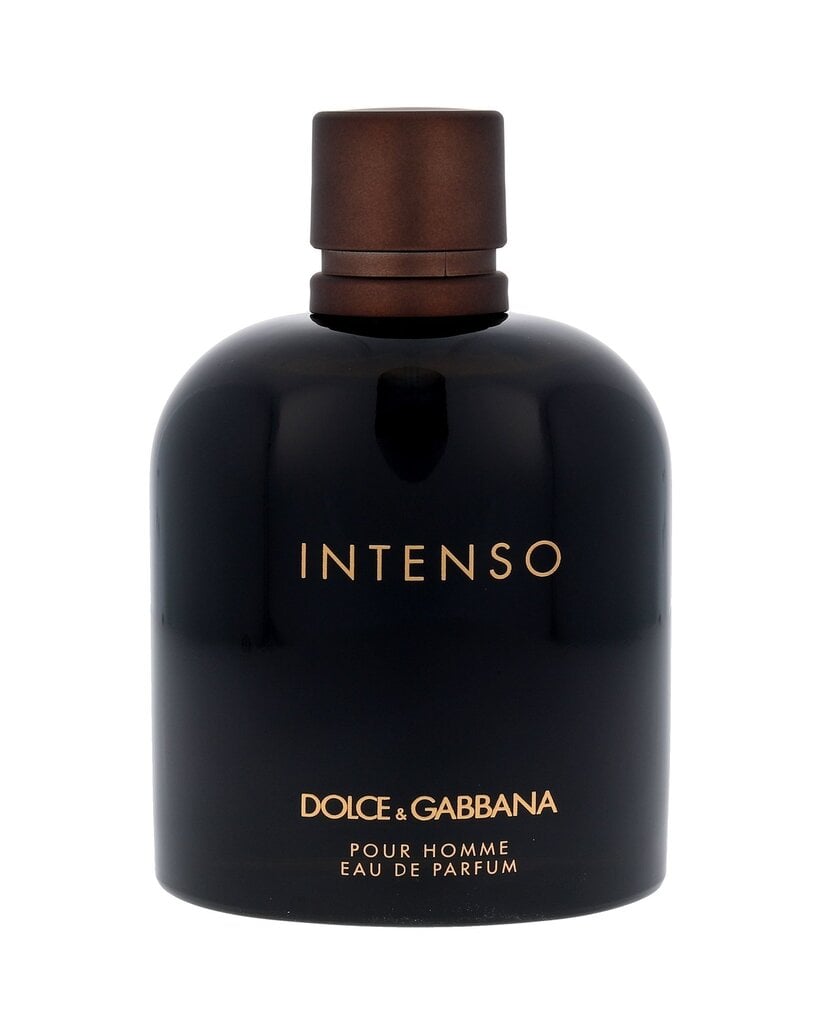 Kvapusis vanduo Dolce & Gabbana Intenso Pour Homme EDP vyrams 200 ml цена и информация | Kvepalai vyrams | pigu.lt