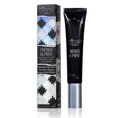 Akių gruntas Ciate London Partner In Prime Extreme Wear eye primer, Nude, 13 ml kaina ir informacija | Akių šešėliai, pieštukai, blakstienų tušai, serumai | pigu.lt