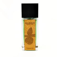 Kvapiojo vandens rinkinys Almah Pirineum EDP vyrams/moterims: kvapusis vanduo 100 ml + kvapusis vanduo 30 ml цена и информация | Мужские духи | pigu.lt