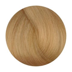 Plaukų dažai L'anza Healing Color 9G 9/3 Light Golden Blonde, 60 ml цена и информация | Краска для волос | pigu.lt