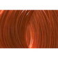 Plaukų dažai L'anza Healing Color 7CC 7/44 Dark Ultra Copper Blonde, 60 ml цена и информация | Plaukų dažai | pigu.lt