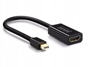 Zenwire DP HDMI цена и информация | Адаптеры, USB-разветвители | pigu.lt