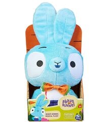 Pliušinis žaislas Brave Bunnies kaina ir informacija | Minkšti (pliušiniai) žaislai | pigu.lt