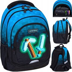 Школьный рюкзак AstraBag Multicolor, 20 л цена и информация | Школьные рюкзаки, спортивные сумки | pigu.lt