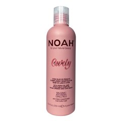 Glotninamasis kondicionierius garbanotiems plaukams Noah Curly Anti Frizz Conditioner, 250 ml цена и информация | Бальзамы, кондиционеры | pigu.lt