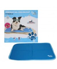 Vėsinantis kilimėlis vidutiniams šunims, CoolPets Premium Cooling Mat M (50x40cm) цена и информация | Лежаки, домики | pigu.lt