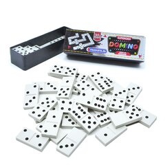 Rinkinys Domino 5276 plastikinėje dėžutėje цена и информация | Настольные игры, головоломки | pigu.lt