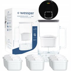 Wessper Aquamax, 10 vnt. kaina ir informacija | Vandens filtrai | pigu.lt