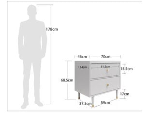 Тумбочка Cosmoliving by Cosmopolitan Elizabeth, серая цена и информация | Прикроватные тумбочки | pigu.lt