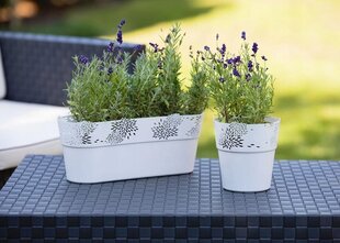 Ažūrinis korpusas Aster mint 11,5 cm цена и информация | Вазоны | pigu.lt