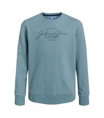 Jack & Jones bluzonas vaikams 12259807, mėlynas kaina ir informacija | Megztiniai, bluzonai, švarkai berniukams | pigu.lt