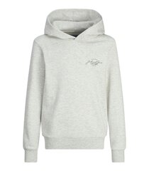 Jack & Jones детская толстовка 12259941*03, белый 5715603653502 цена и информация | Свитеры, жилетки, пиджаки для мальчиков | pigu.lt