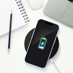 Purpurinis dėklas skirtas IPHONE 16 Pro Max kaina ir informacija | Telefono dėklai | pigu.lt