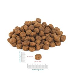 Perro Medium and large breeds su jautiena ir ėriena, 12 kg kaina ir informacija | Sausas maistas šunims | pigu.lt