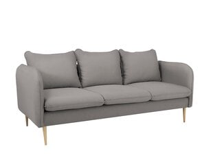 3 vietų sofa "Instit", 205x89x90 cm, salė kaina ir informacija | Sofos | pigu.lt