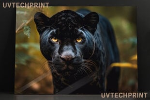 Stiklinė sienų dekoracija juodoji pantera džiunglių gyvūnai 150x95 cm цена и информация | Детали интерьера | pigu.lt