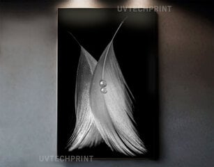Stiklinė sienų dekoracija plunksnų perlai juodai balta jausminga 23x36 cm цена и информация | Детали интерьера | pigu.lt