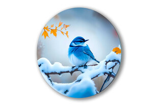 Stiklinė sienų dekoracija apvalus mėlynas paukštis žiemos sniegas 30x30 cm kaina ir informacija | Interjero detalės | pigu.lt