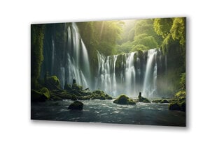 Stiklinė sienų dekoracija krioklys miške gamtos spa 130x83 cm цена и информация | Детали интерьера | pigu.lt