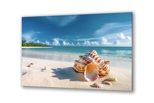 Stiklinė sienų dekoracija gamtos jūros kriauklės paplūdimyje 130x83 cm kaina ir informacija | Interjero detalės | pigu.lt