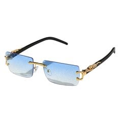 Deal Madingi Stilingi Akiniai цена и информация | Солнцезащитные очки для мужчин | pigu.lt