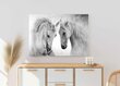 Modernus drobės sienų tapyba gyvenamajame kambaryje Arkliai pilkos spalvos 80x120 kaina ir informacija | Reprodukcijos, paveikslai | pigu.lt